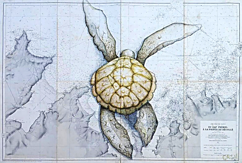 Claire HEMMI - Arlette